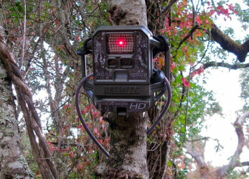 Poacher camera