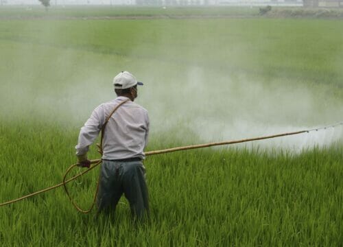 Pesticide Spraying
