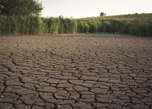 Water is scarce after drought