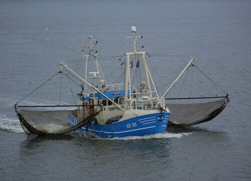 fishing Boat using Trailing