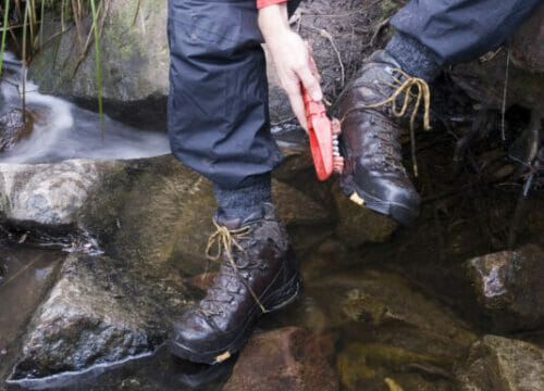 Cleaning boots to stop invasion of species