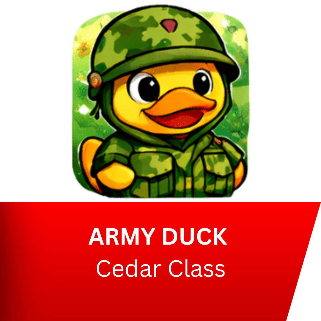 Duck Army R6 Cedar Class Keep Hatch School's Great Virtual Duck Race | SuperKind