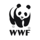 WWF_logo_-removebg-preview