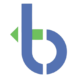 campaign for better transport logo